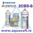 Pentair® Everpure 2CB5-S filter | EV9617-22
